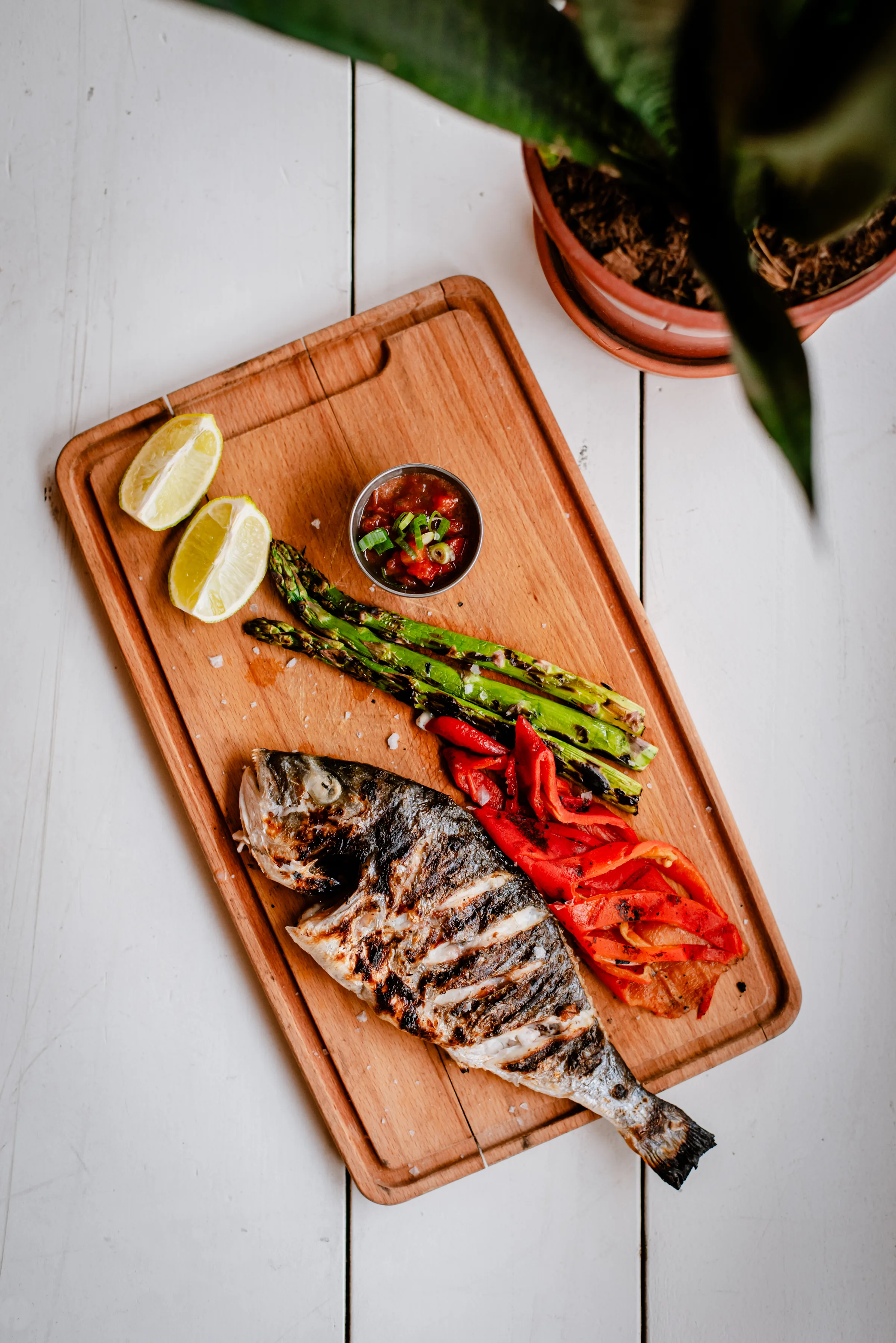 Supermercado - Salsa, Bachata dance venue in Rotterdam