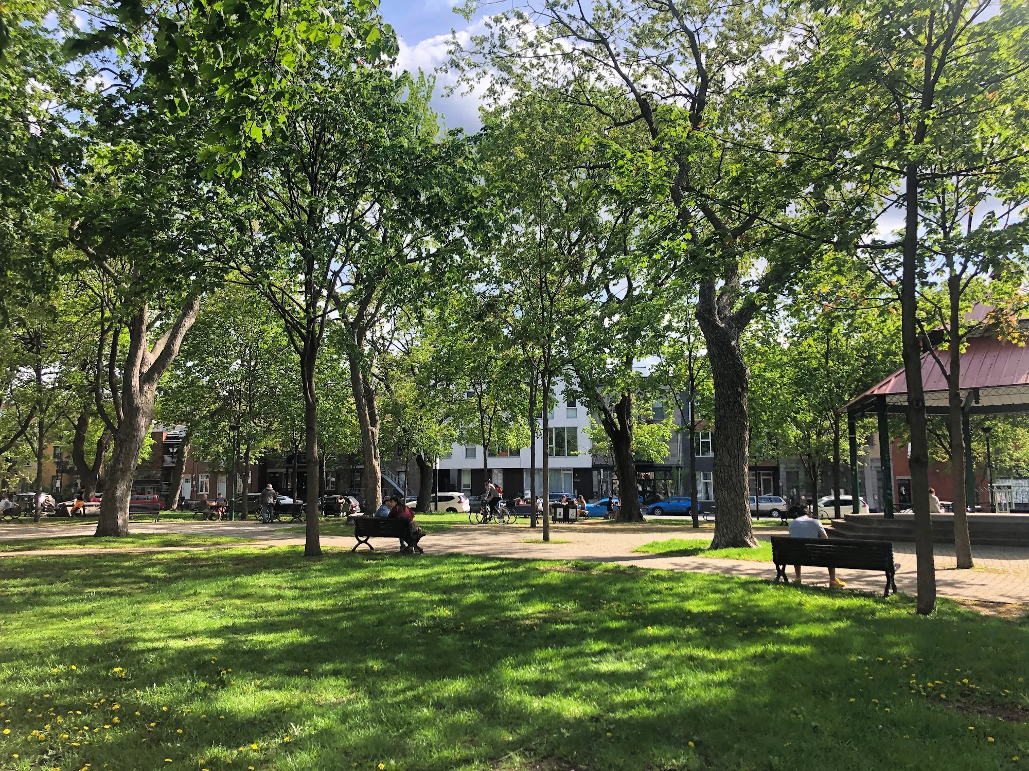 Park of Little Italy Montreal — shaded public park with benches and tree-lined paths in summer
