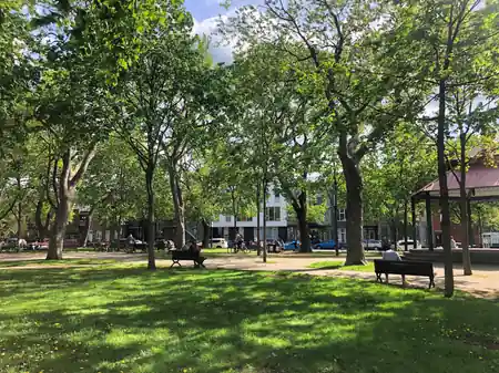 Park of Little Italy Montreal — shaded public park with benches and tree-lined paths in summer — salsa, bachata venue in Montreal