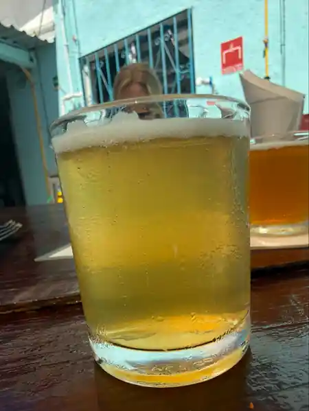 Todos Santos Brewing beer garden and outdoor seating area — salsa venue in Todos Santos