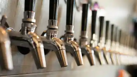 Todos Santos Brewing taproom and bar area in Todos Santos — salsa venue in Todos Santos