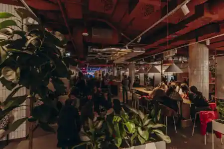 Busy evening at PeDeT Renoma Wroclaw with lush plants and industrial red ceiling — salsa venue in Wroclaw