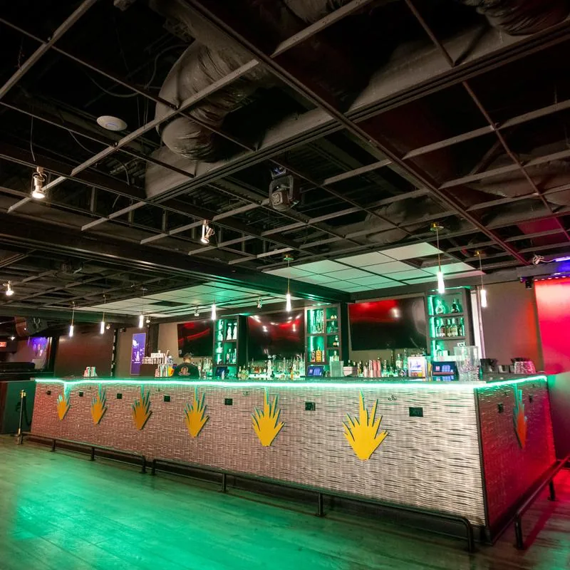 Long agave-themed bar under green club lighting at La Catrina Lounge, Bethesda