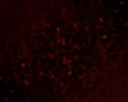 Social dancing at Burgerhaus Salzmannbau in Dusseldorf — bachata, salsa venue in Düsseldorf