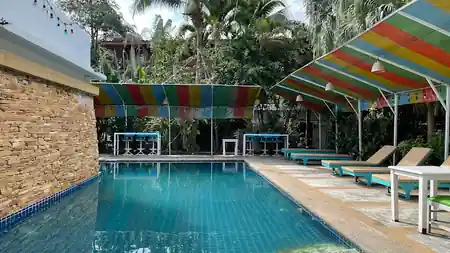 Swimming pool at Greenlight Cafe with lush tropical greenery in Koh Samui — salsa, bachata, kizomba venue in Koh Samui