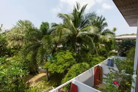 Greenlight Cafe balcony view overlooking Bophut beach and tropical landscape in Koh Samui — salsa, bachata, kizomba venue in Koh Samui