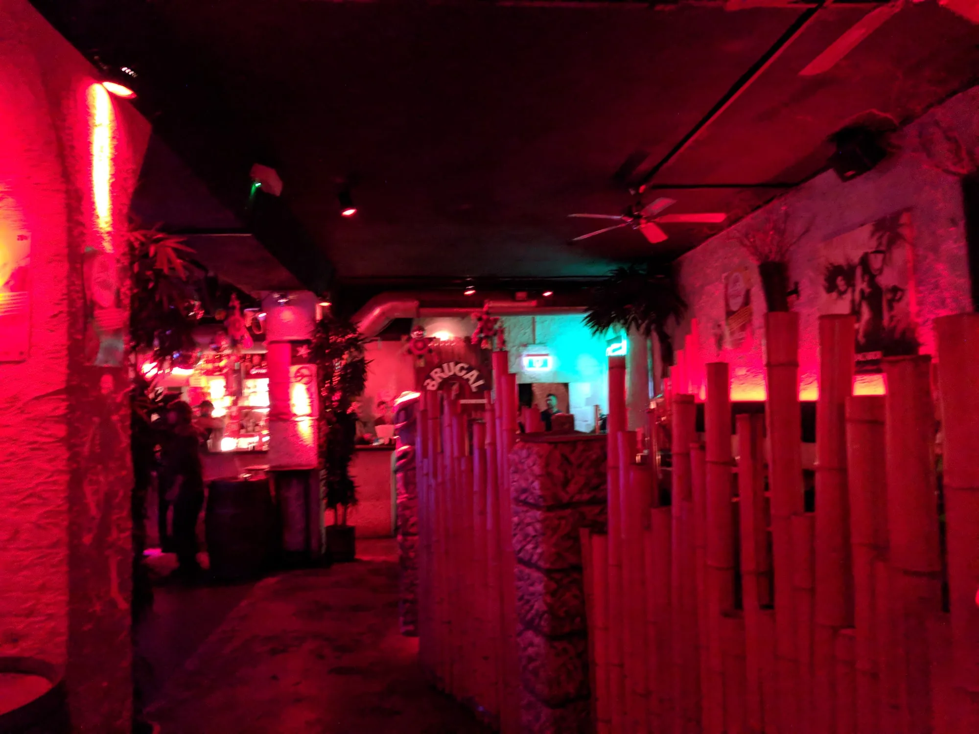Tropical themed bar interior with red and teal lights at Club Fogon Nuremberg