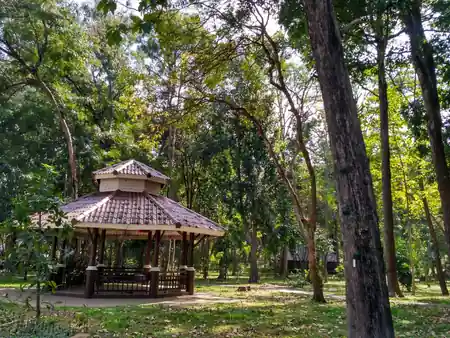 Tropical park path with lush greenery at Huay Kaew Arboretum Chiang Mai — salsa, bachata, kizomba venue in Chiang Mai