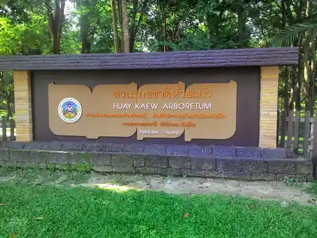 Open-air paved area ideal for dancing at Huay Kaew Arboretum Chiang Mai — salsa, bachata, kizomba venue in Chiang Mai