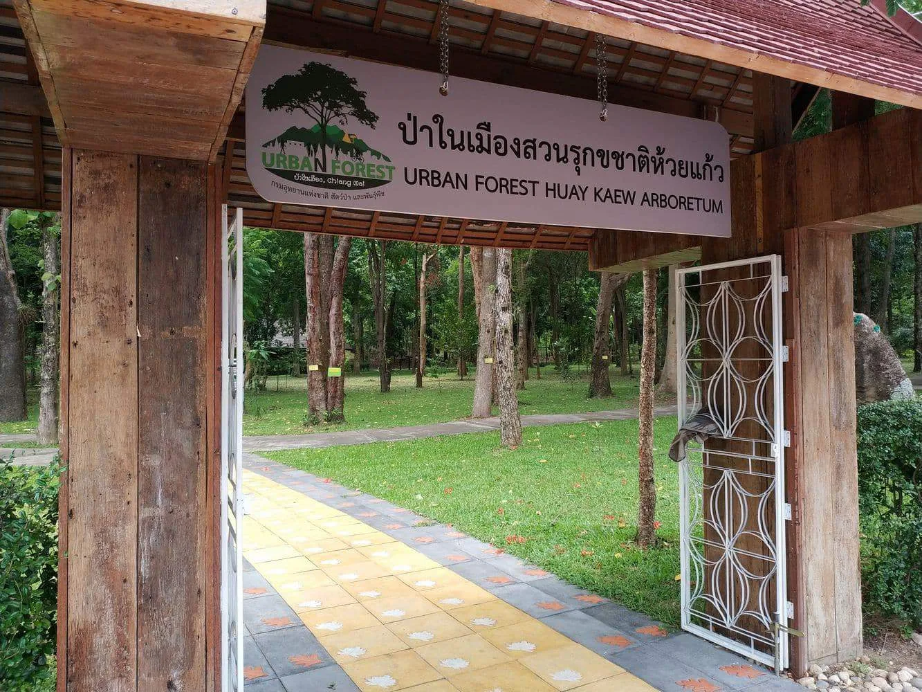 Huay Kaew Arboretum, Chiang Mai – lush green garden paths — salsa, bachata, kizomba venue in Chiang Mai
