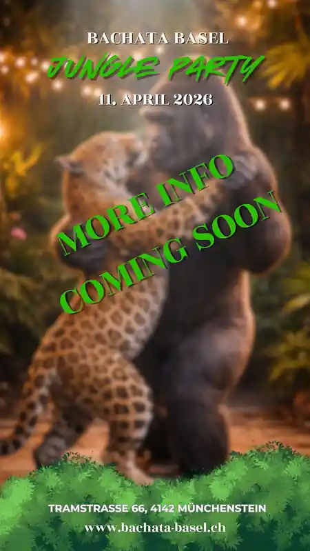 Bachata Basel, Basel – couple dancing bachata at a social dance night