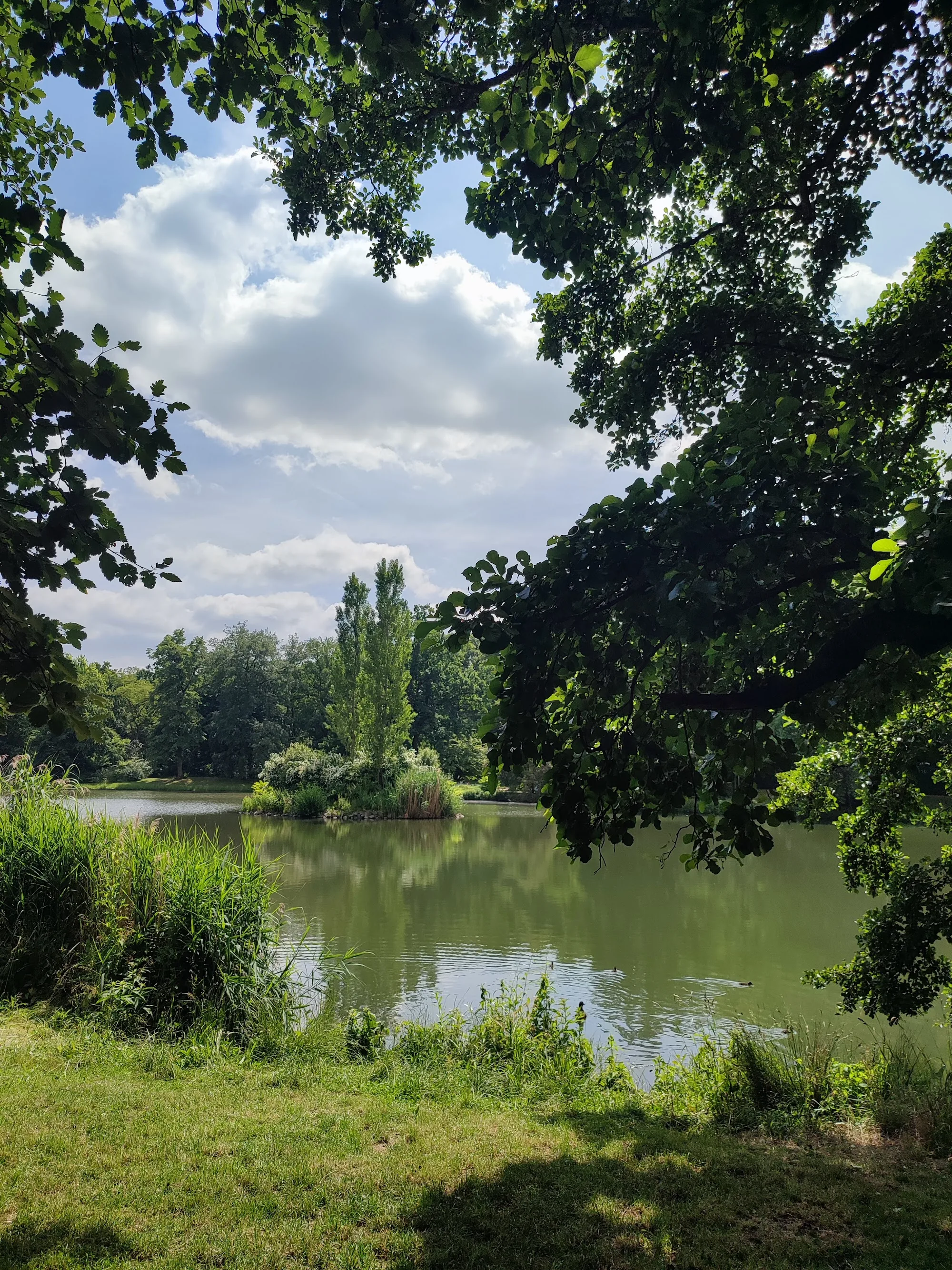 Scenic pond with island and surrounding trees at Inselteich Clara-Zetkin-Park Leipzig