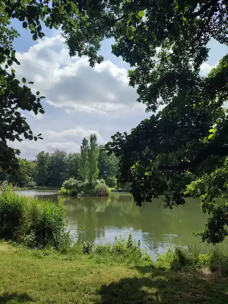 Scenic pond with island and surrounding trees at Inselteich Clara-Zetkin-Park Leipzig — bachata, salsa, kizomba venue in Leipzig