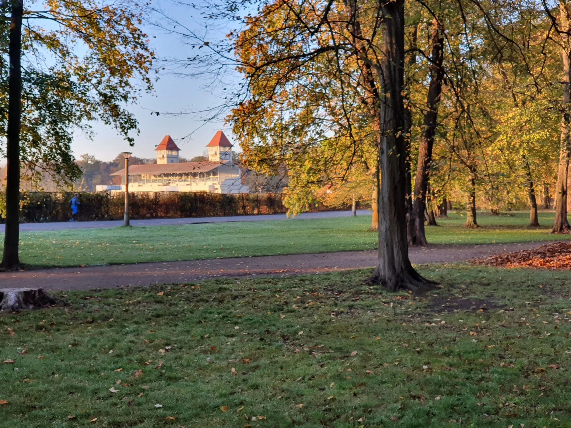 Tree-lined path in Clara-Zetkin-Park Leipzig with people enjoying the outdoor space