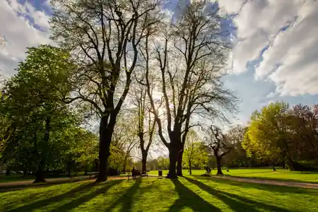 Clara-Zetkin-Park in Leipzig, home of outdoor social dancing at the Inselteich — bachata, salsa, kizomba venue in Leipzig