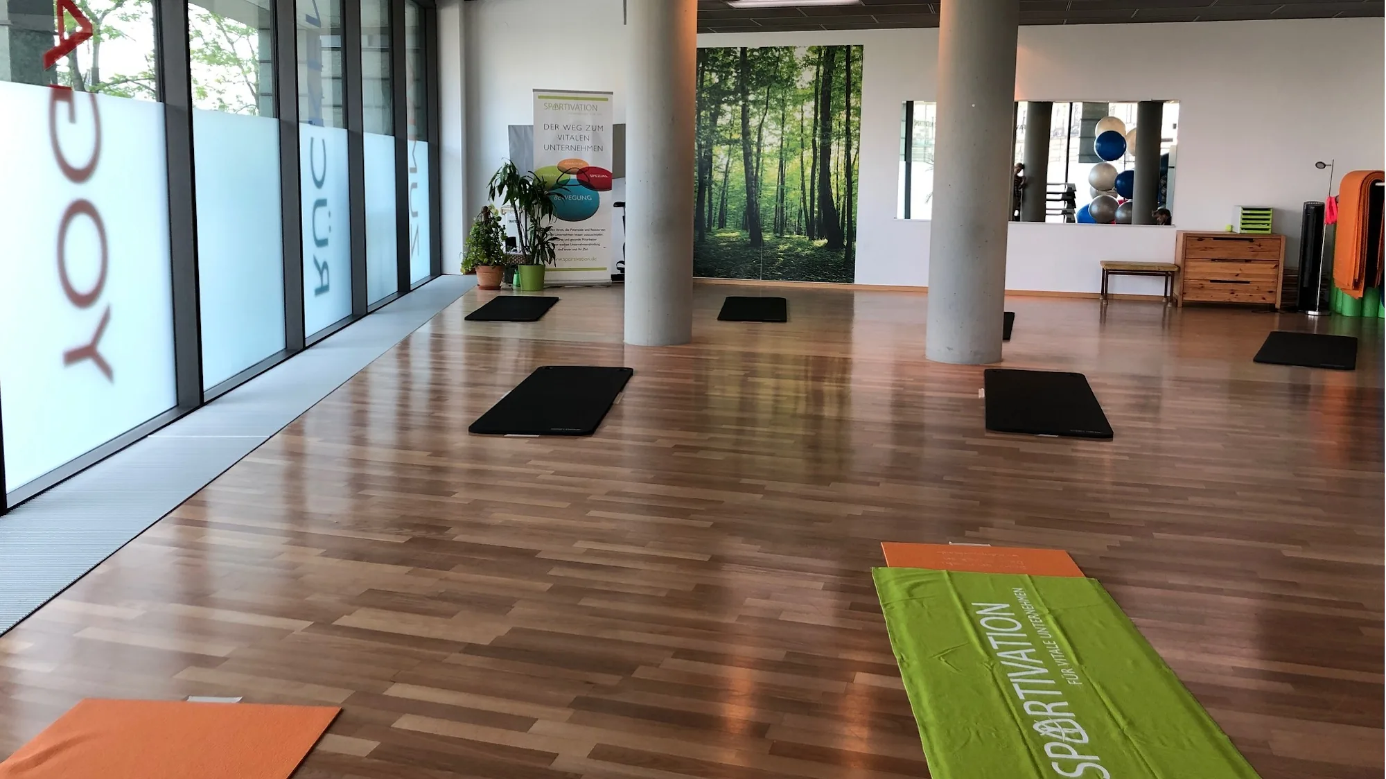 Spacious exercise and dance room with wooden floor at Kursraum Dresden Germany