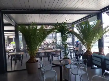 Covered terrace dining area at William Buzz Alicante with palm decor and marina views — salsa, bachata, kizomba venue in Alicante