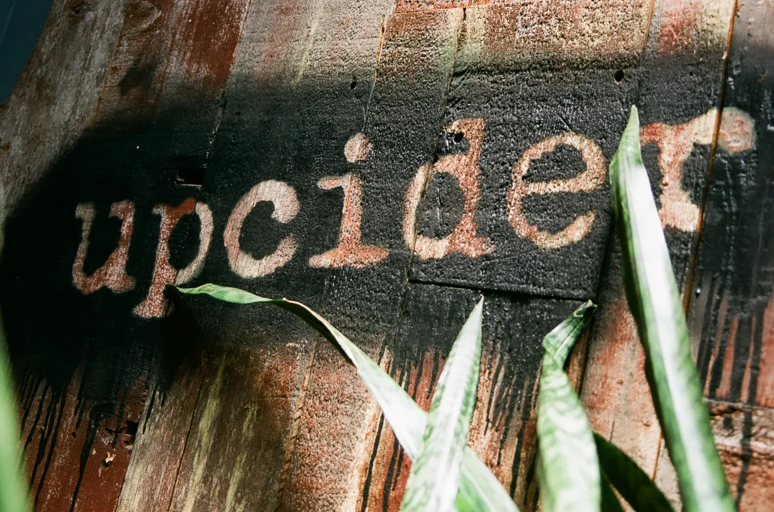 Upcider branded signage on rustic wood wall in San Francisco venue — salsa venue in San Francisco