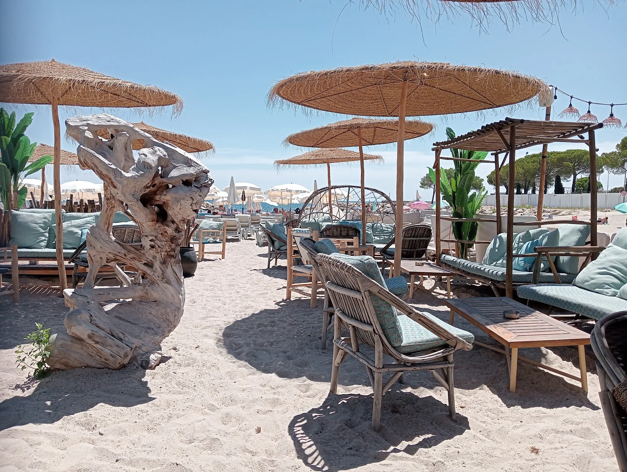 Beach club setting at Le Vieux Rocher with driftwood sculpture, thatched parasols and sand