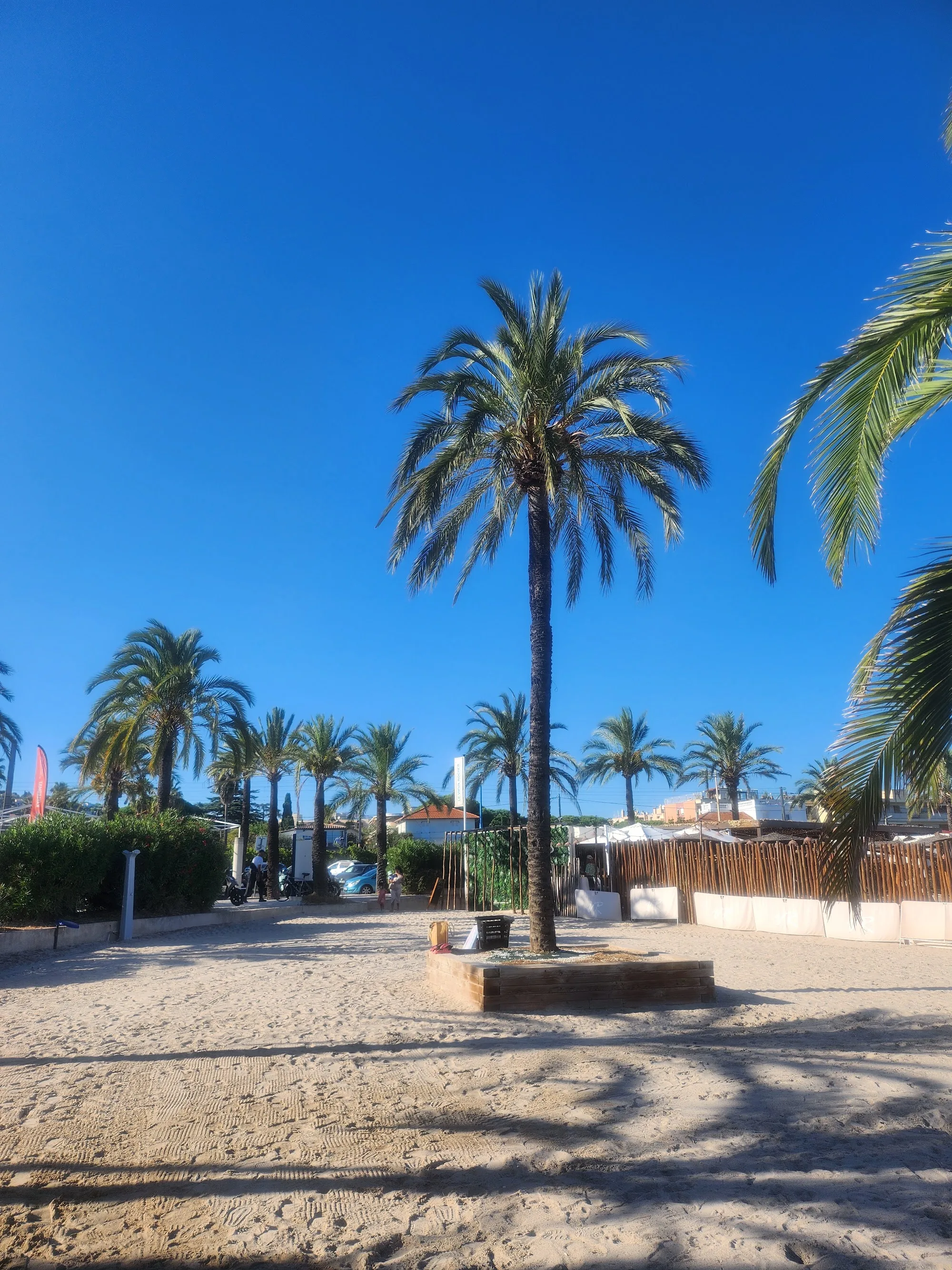 Palm trees and sandy outdoor area at Le Vieux Rocher beach club perimeter