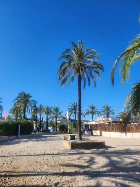 Palm trees and sandy outdoor area at Le Vieux Rocher beach club perimeter — kizomba, bachata, salsa venue in Golfe Juan