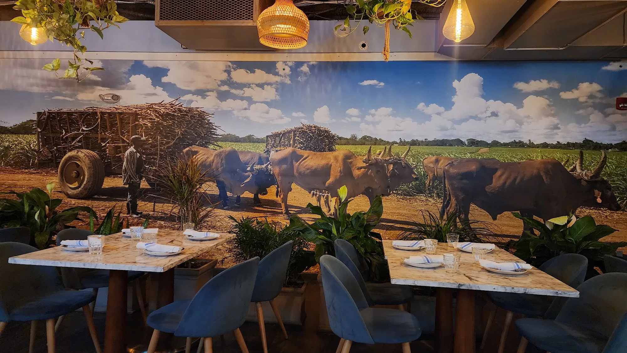 La Fabrica Central dining room with Cuban sugarcane field mural in Cambridge