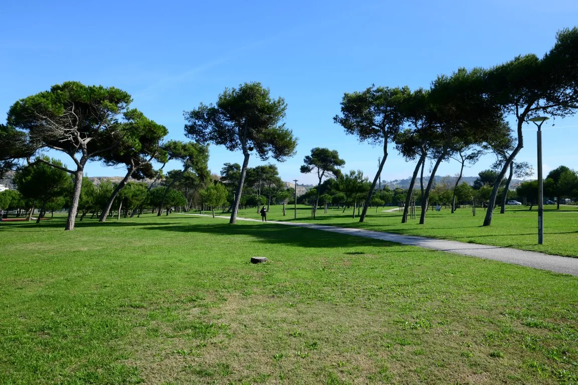 Pine-shaded lawns and pathways at Parque Urbano da Costa da Caparica in Portugal
