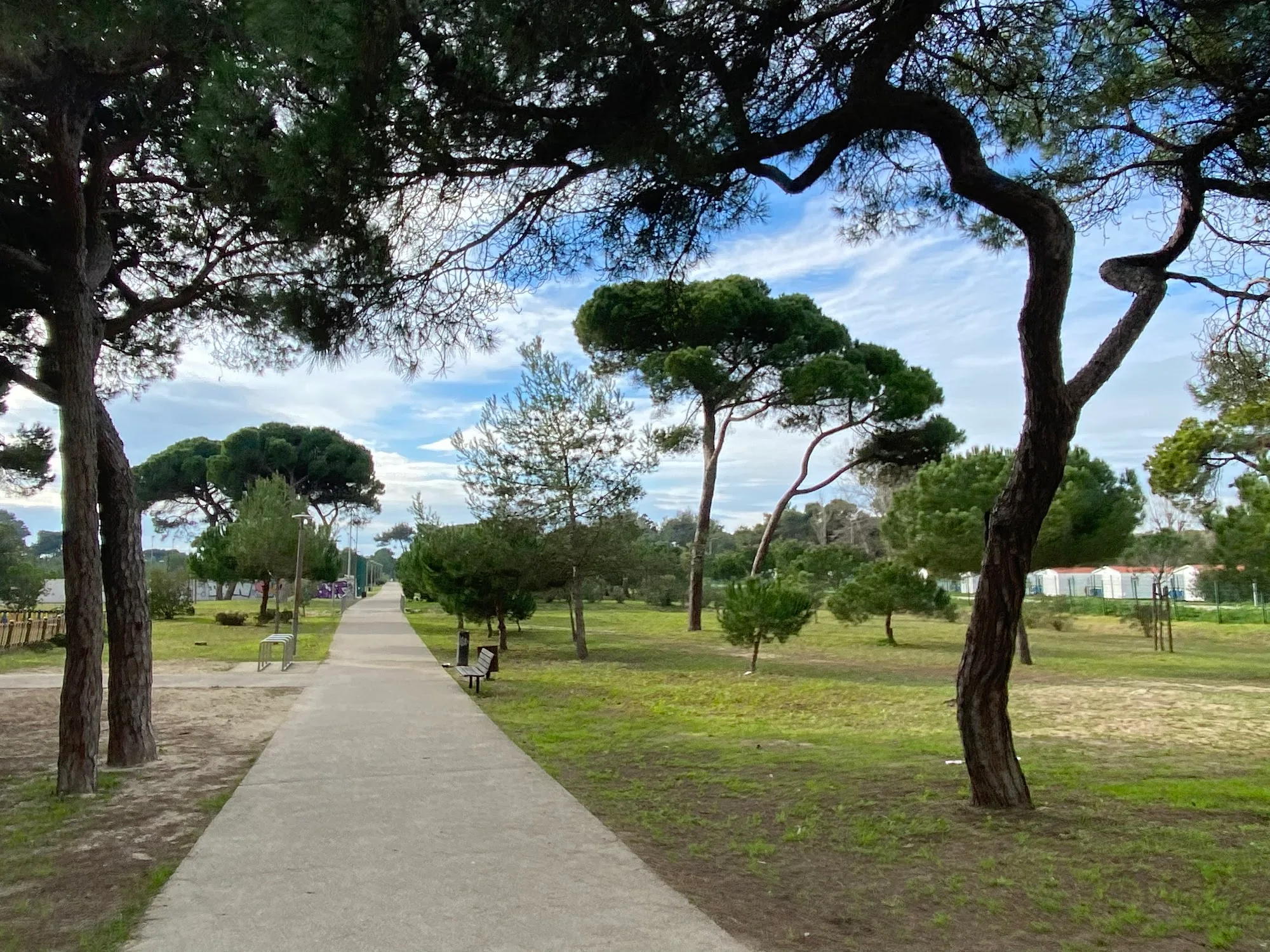 Tree-lined walking path through Parque Urbano da Costa da Caparica in Portugal