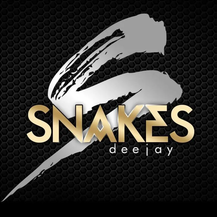 DJ Snakes, Kizomba instructor
